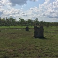 IMG 7067
