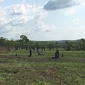 IMG 7070