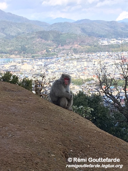 IMG 0507
