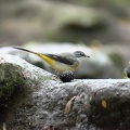 DSC 0209