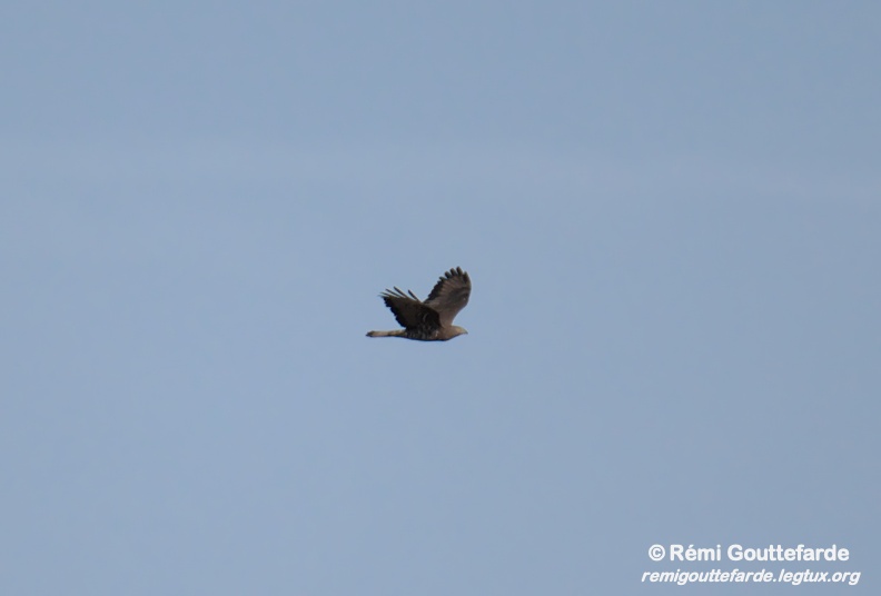 DSC_0395.jpg