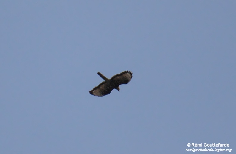 DSC_0667.jpg