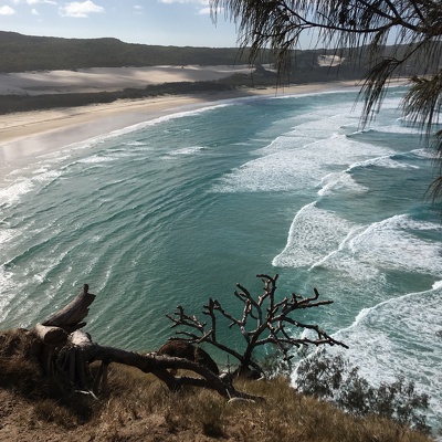 Fraser island