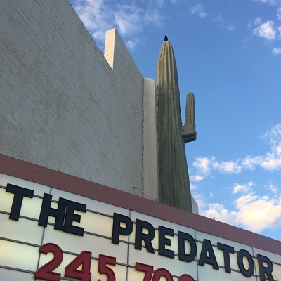 Phoenix