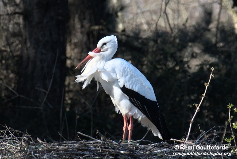 DSC 0792