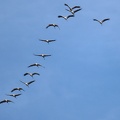 DSC 0260