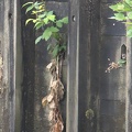 DSC 0460