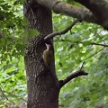 DSC 0040