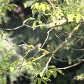 DSC 0144