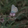 DSC 0163