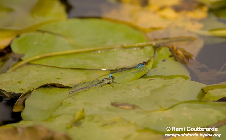 DSC 0019