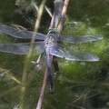 DSC 0120