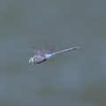 DSC 0379