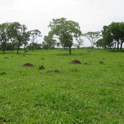 05. Paysage